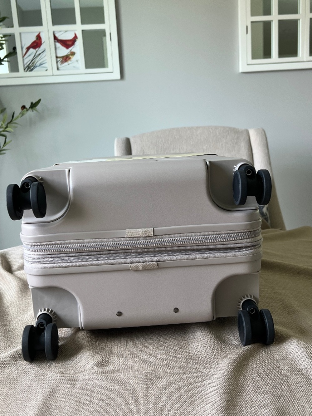 Signature Hardside Carry On Spinner Suitcase Matte Atmosphere - Open Story NEW - Picture 11 of 14